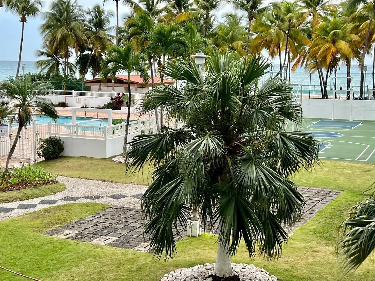 Beachfront Tropical Tantra Apartment San Juan
